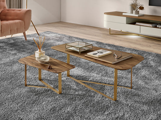 Mesa de Centro Conjunto Pequeno (Pé de Ferro)